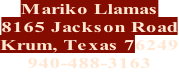 Mariko Llamas 8165 Jackson Road Krum, Texas 76249 940-488-3163